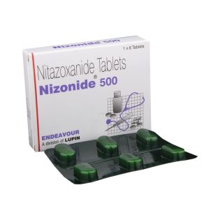 니조나이드 500-항생제,구충제-델리샵