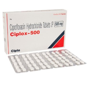 ciplox-500-기타상품-델리샵