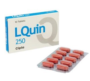 Lquin 250-기타상품-델리샵