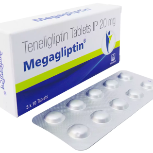 megagliptin-기타상품-델리샵